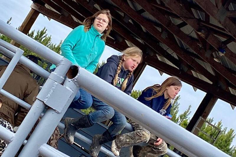 Three girls sitting on cattle pen fencing
